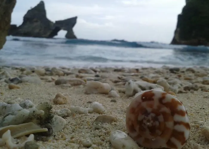 Miko Nusa Penida *